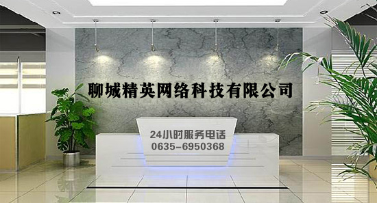聊城精英網絡有限公司